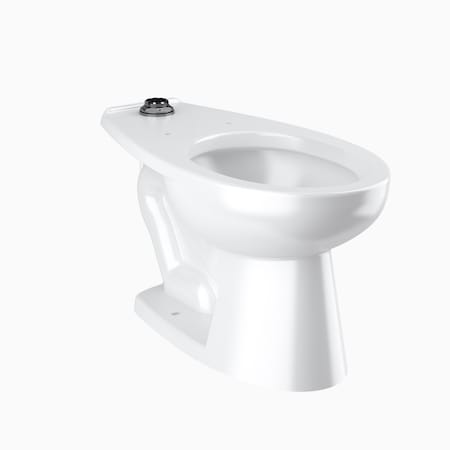 Sloan St2009-Stg Cl Fix Asm Fm Ts Universal, 1.1 to 1.6 gpf, Floor Mount, Elongated, White 2172009